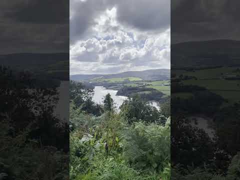 Heavy Heart - Oblivia