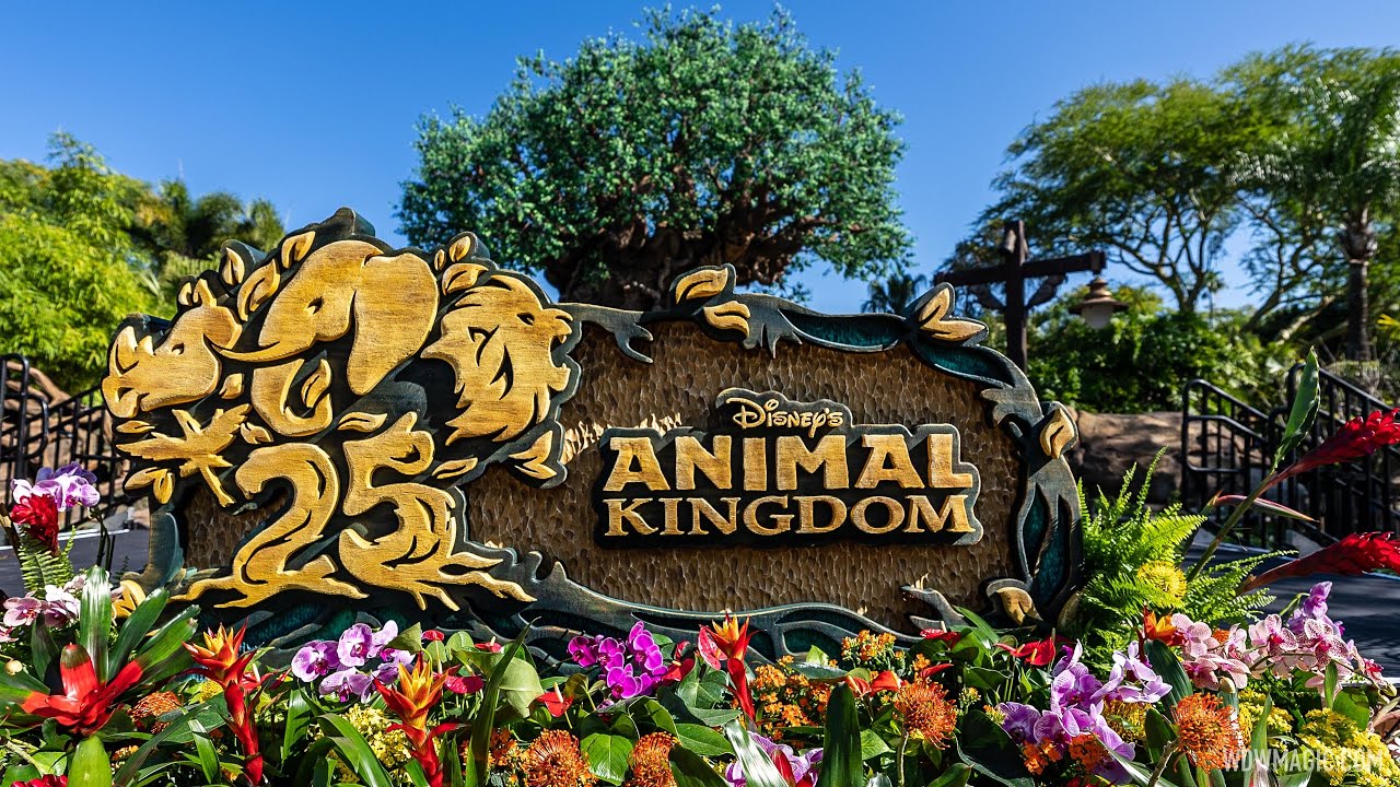 Disney's Animal Kingdom celebrates 25th anniversary with a special  celebration at Tree of Life