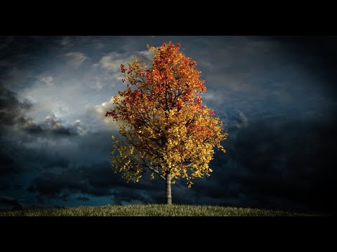 Furkan Aksoy - Zor (Prod. Umut Timur)