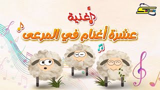 اغنية عشرة أغنام في المرعى - سبيس تون 🎵 Spacetoon