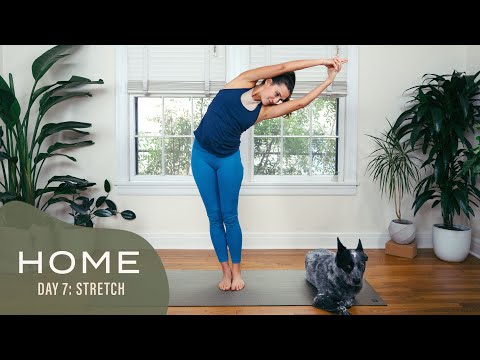Home - Day 7 - Stretch  |  30 Days of Yoga