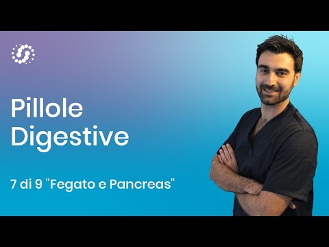 Funzione del fegato e funzione del pancreas nella digestione