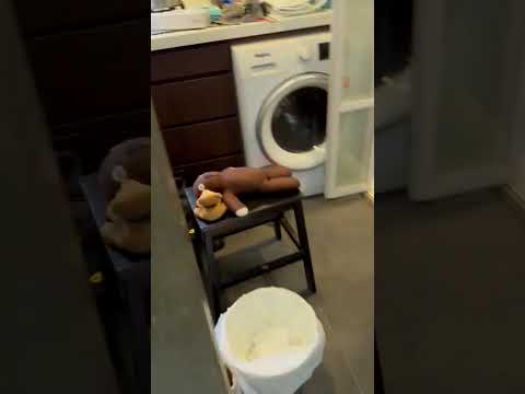 仁智大厦 Youtube Video