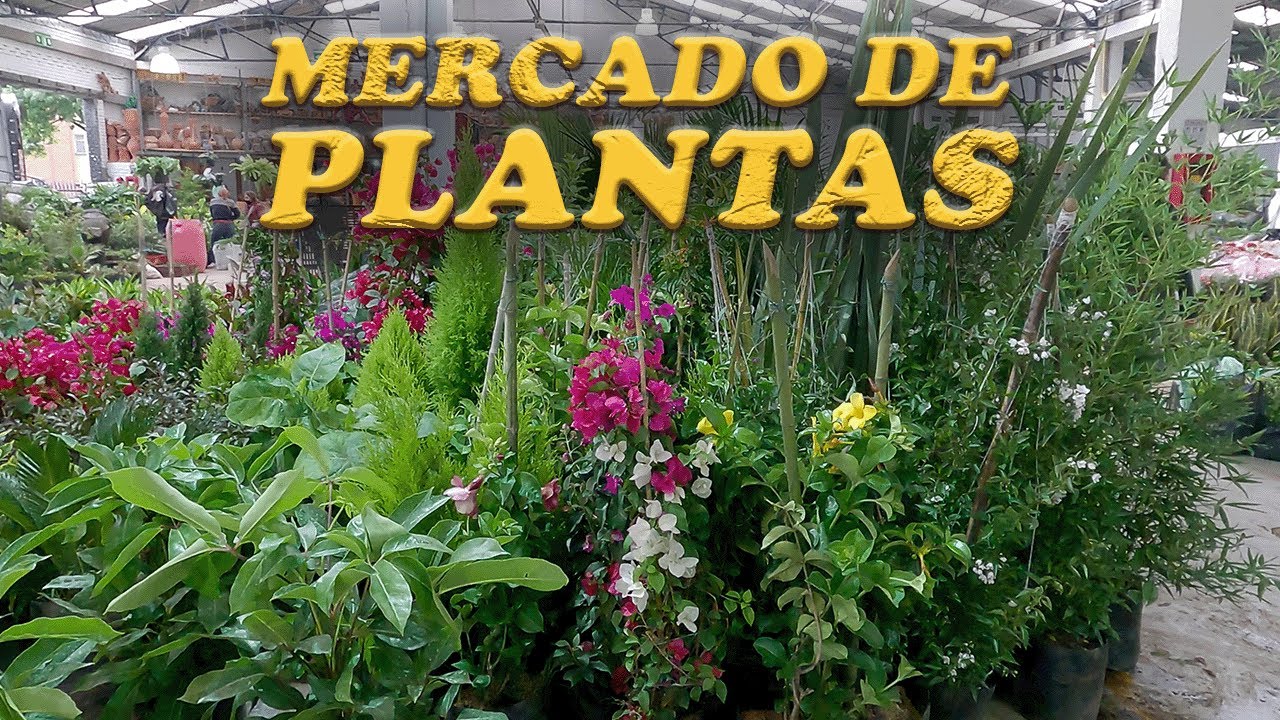 Mercado Nacional de Plantas venta y comercio ornamentales, aromáticas, jardín, abono, fertilizantes