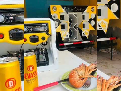 14-M2 BRANKIN MR & MC SHECK BREV - SÓ PORRADÃO 