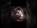 Mai Hoon Mufasa Ka Beta The Lion King SIMBA Edit EMIN Feat JONY КАМIN Thelionking