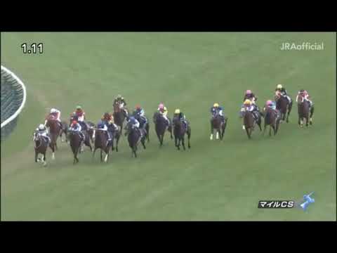 マイルチャンピオンシップ2020