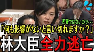 【参政党・梅村みずほ議員】沖縄県と琉球新報のズブズブ関係を暴く！8.5億円融資の真実と林大臣の逃亡