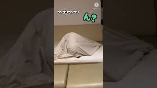 ベッドメイキング中に可愛いゴールデンレトリバーモンスターが現れた！