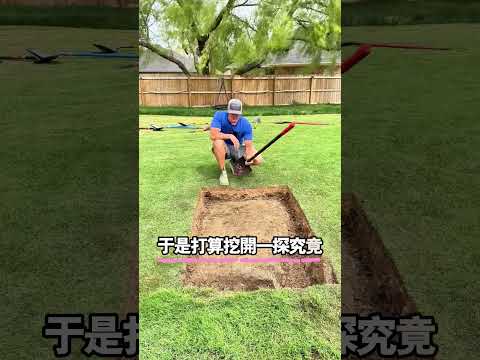 院子裏有一片草總是枯死@thelawntools