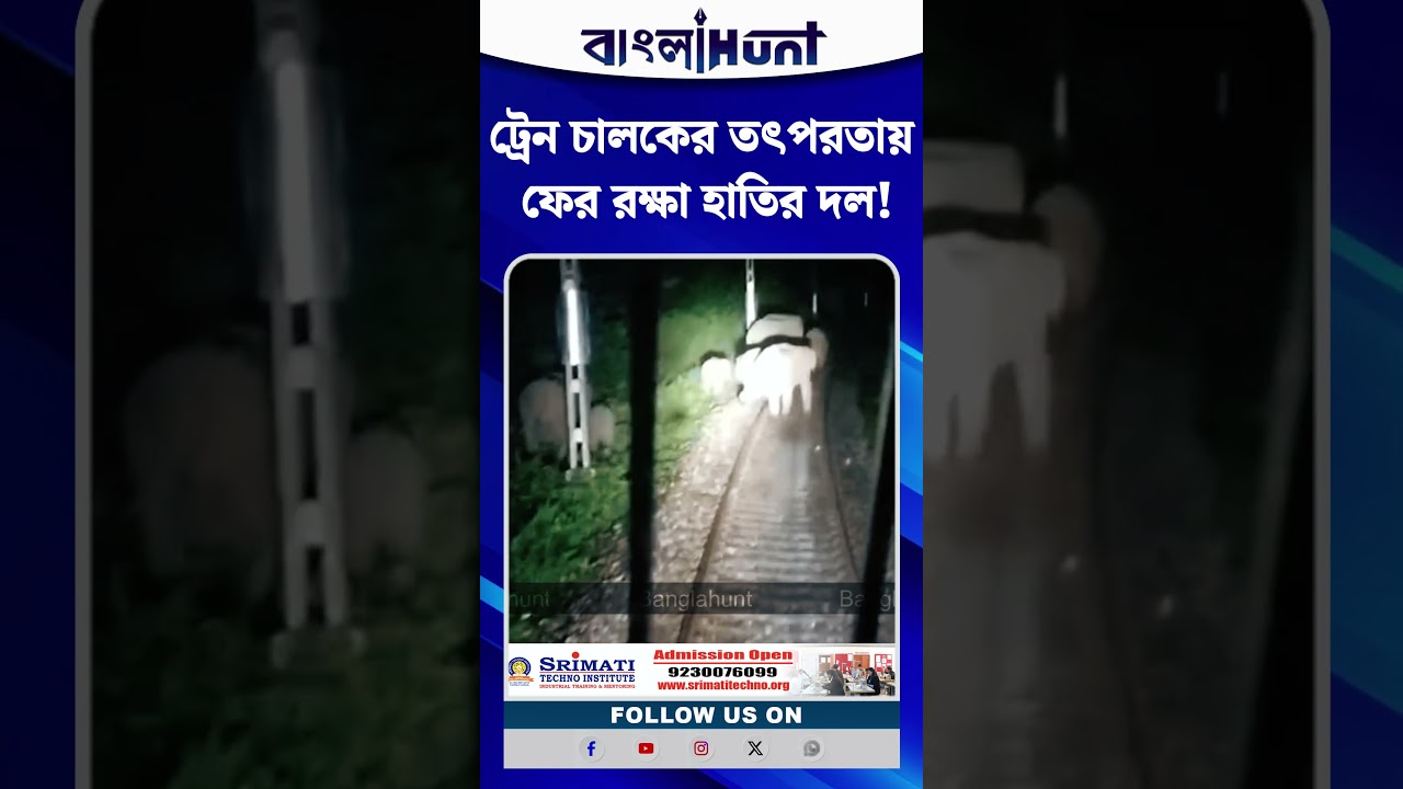 ট্রেন চালকের তৎপরতায় ফের রক্ষা হাতির দল! ডুয়ার্সে বড়সড় বিপদ এড়াল হাতির পাল