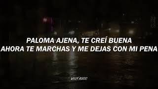 Download lagu Agua Marina - Paloma Ajena (Letra/Lyrics) mp3 Download lagu Agua Marina - Paloma Ajena (Letra/Lyrics) mp3