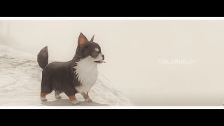 テスト配信