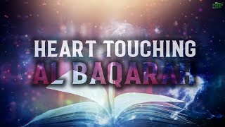 THE MOST HEART TOUCHING RECITATION OF SURAH BAQARA