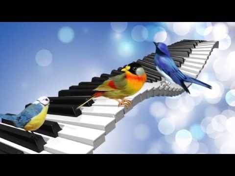 Yo te recuerdo-Juan Gabriel (con letra)