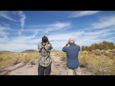 Birding the Amargosa River's Oasis Valley | Outdoor Nevada