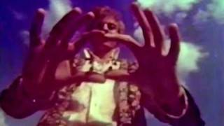 The Who - Flowers In The Rain