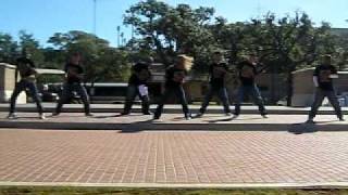 Elephant Walk and Jr.E-Walk 2008 Performance