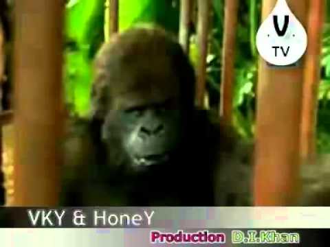 VERY VERY Funny Punjabi Dubbing into English Movie MUST WATCH