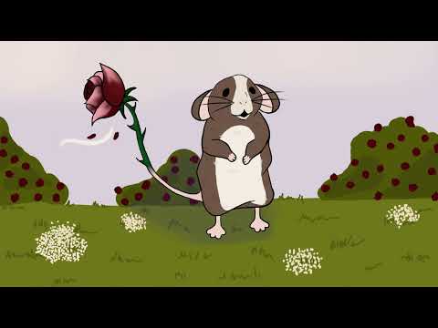 Animación "La rata Boris" - Alex Trandafir