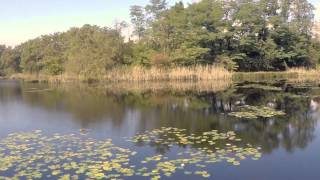 preview picture of video 'Parco Naturale dei Lagoni di Mercurago - Arona, Piemonte, Italy'