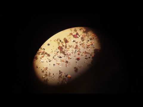 Attempt at usf2 with Ru bisbipy Cl2 embedded from hexane