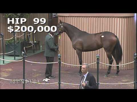 2015 September Yearling Sale - Hip 99 (War Front - Azzedine)