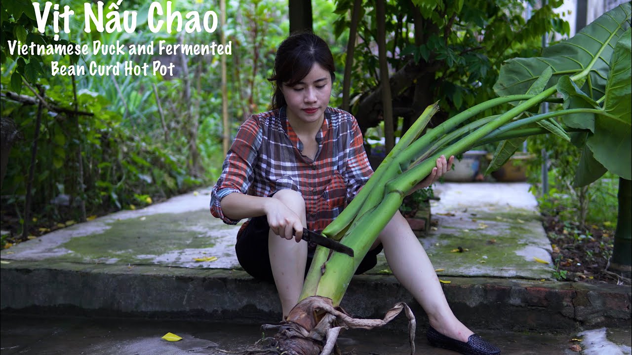 Cách Nấu Lẩu Vịt Chua Cay