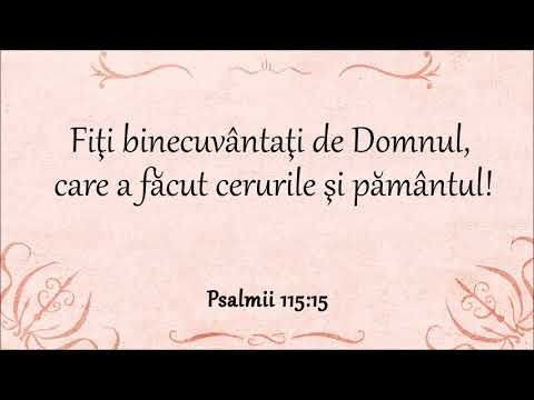 BINE-ATI VENIT AZI LA ALTAR ÎN CASA DOMNULUI SFÂNT - video