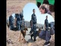 кинологам посвещается.avi 