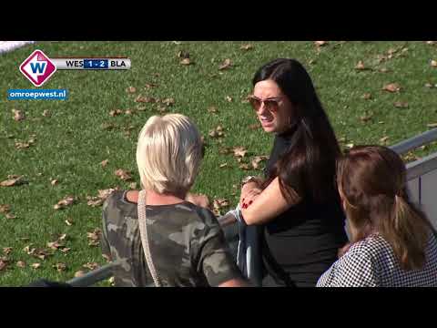 Samenvatting Westlandia - Blauw-Geel