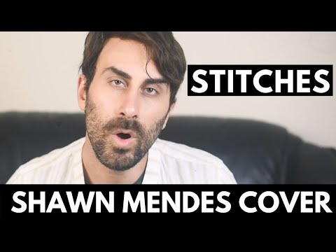 SHAWN MENDES - Stitches (Alex Staltari Cover)