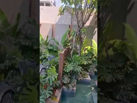 Chăm sóc cây cảnh Danh Hoàng