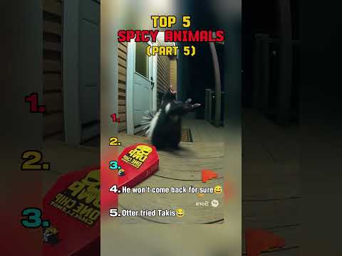 Part 5 Top 5 spicy eating animals sora 2 videos #sora #funny #ranking #animals