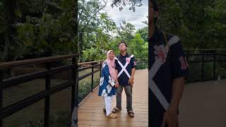 Download lagu Janganlah Mencintaiku By Mahesa (Balekambang Surakarta, Kamis 26 Desember 2024) mp3 Download lagu Janganlah Mencintaiku By Mahesa (Balekambang Surakarta, Kamis 26 Desember 2024) mp3