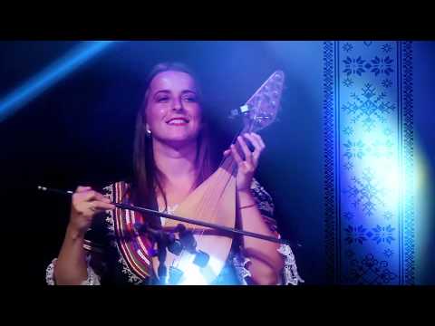 FolkustiX feat. Down Low - Johnny B.