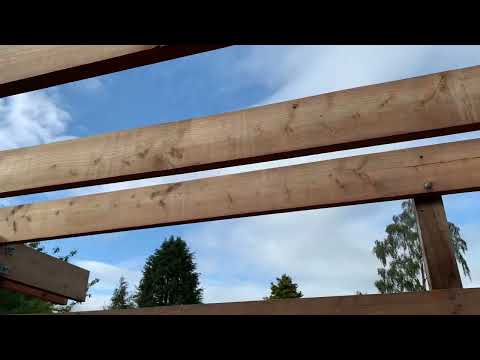 SIOO:X Scottish larch 2 weeks