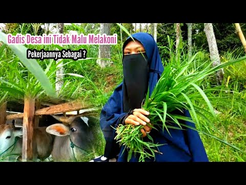 Gadis Desa Ini Masih Sekolah Tapi lihat Apa yang di Lakukan di Desanya