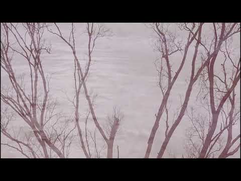 Barriga Negra es un arroyo