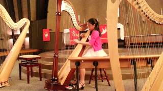 Theme and variatons by Joseph Hayden