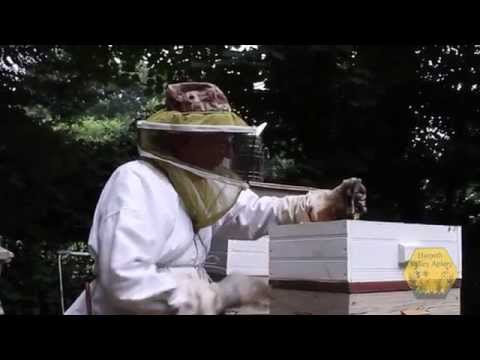 New Tools for the Hobby Beekeeper