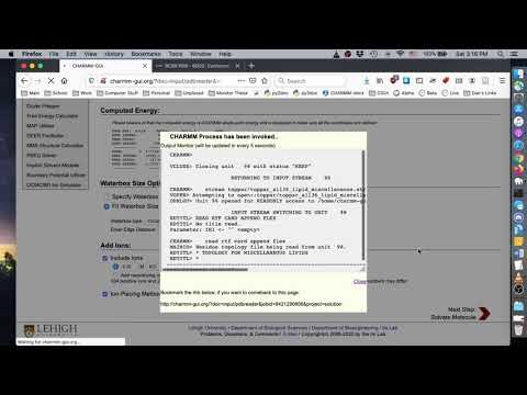 AMBER FF Tutorial 2 -Preparation of protein/DNA/RNA complex for Amber FF (6O0Z)