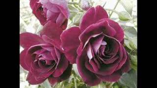 Ibrahim Tatlises - Isyan Etmek Bosuna