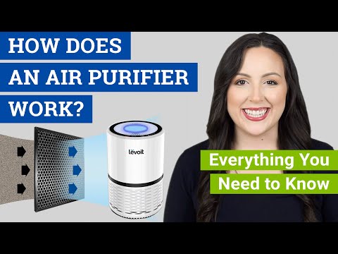 How Does an Air Purifier Work? (Do Air Cleaners Really Work to Remove Dust, Mold and Allergens?)