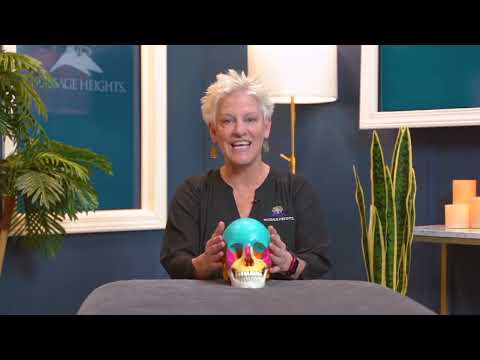 Cranial Sacral Therapy: The Cranial Rhythm | 'Outside The Room'