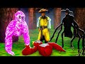 Testing Scary Gorilla Tag Codes To Prove They Re Actually Real