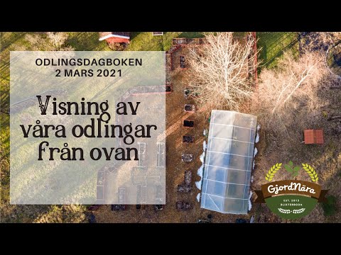 Visning av odlingarna - Odlingsdagboken 2021-03-02