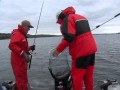 Trolling for Trophy Fall Walleye on Bay of Quinte - FULL -LENGTH EPISODE (HQ)