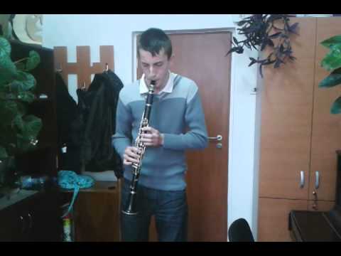 Liceul De Arte Sabin Pauta Resita Florin Cornea Clarinet Variatiuni Rossini