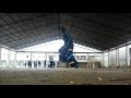 5 MONTHS OF SHUFFLE- DRAGON HEART ...
